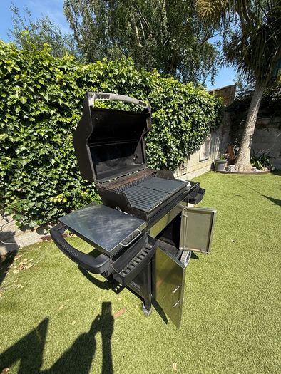 weber