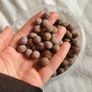 Small animal treats Image 3