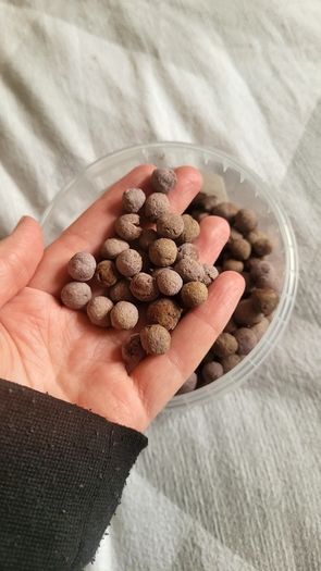 Small animal treats