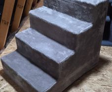 Cat Steps large