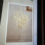 Rose tree light ivory Image 4