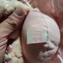 Keel Toys Belle Rose Plush Bunny Rabbit Soft Toy Brand New With Tags Image 5