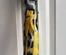 Minions umbrella