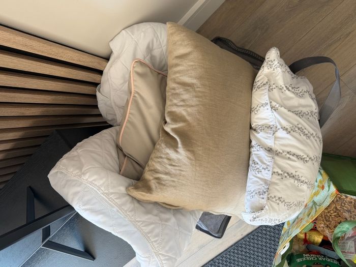 Duvet & pillows in great shape - FREE