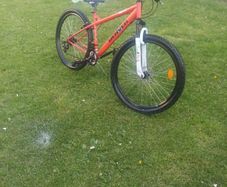 Mountain bike