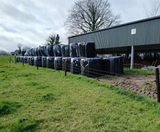 Haylage