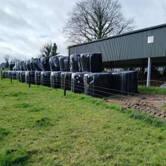 Haylage