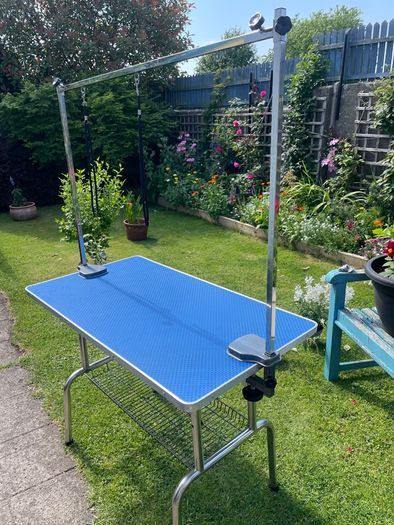 Dog Grooming Table.
