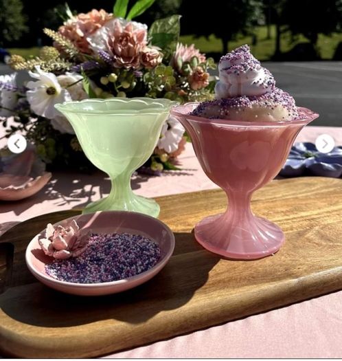 BNIB Carraig Donn Sundae bowls set of 4 + Carry bag