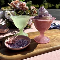 BNIB Carraig Donn Sundae bowls set of 4 + Carry bag