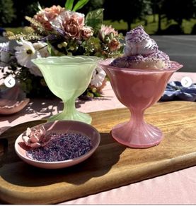 BNIB Carraig Donn Sundae bowls set of 4 + Carry bag