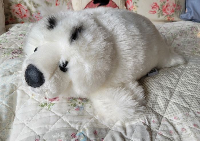 Lovely seal teddy bear