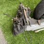 Yamaha Aerox 50cc engine Image 2
