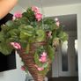 Brand new Artificial hanging basket Image 8