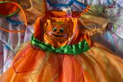 Pumpkin costume