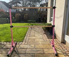 Pink Z ZELUS Double Ballet Barre