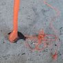 strimmer Image 2