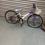 Girls Probike Melody Mountain Bike Image 2