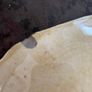 Antique Victorian Majolica Begonia Leaf Plates Image 3