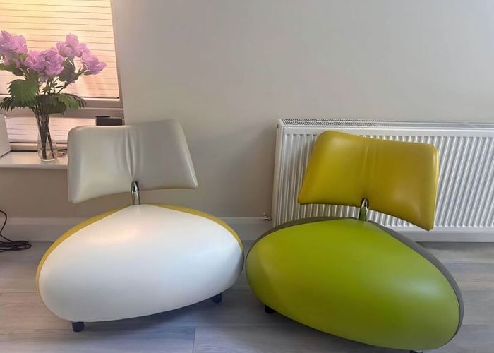 Leolux Pallone modern leather armchairs