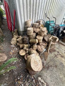 Ash firewood