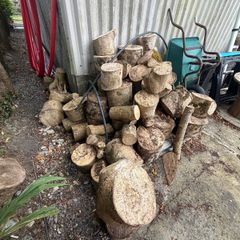 Ash firewood