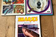 1001 Questions &amp; answers, Bears &amp; Sharks Books