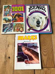 1001 Questions & answers, Bears & Sharks Books