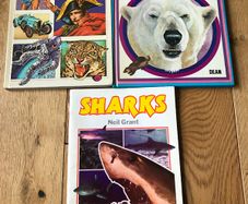 1001 Questions & answers, Bears & Sharks Books