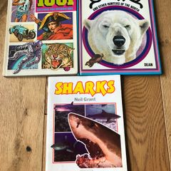 1001 Questions & answers, Bears & Sharks Books