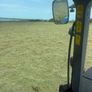 Hay Image 4
