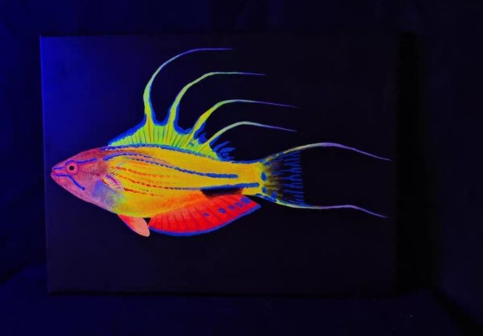 UV Blacklight Coral Reef Wall Art Painting