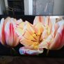 Sony Bravia 55" FHD Smart TV kdl-55w955b Image 10