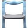 Classic Potty Training Toilet Ladder Seat Image 2