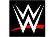 WWE Wrestling DVD Bundle
