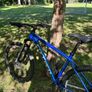 Carrera Mountain Bike  300 ONO Image 3