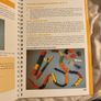 Ready, Set, Go - Maths by Eunice Pitt Image 8