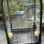 Bird Cage Image 2