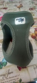 dog harness