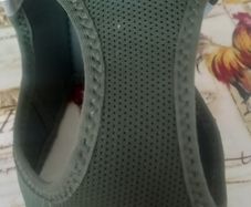 dog harness