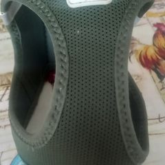 dog harness
