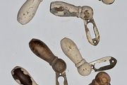 Victorian Escutcheon Key Hole Covers