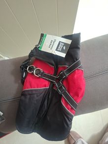 small dog harness