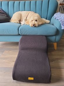 Dog steps