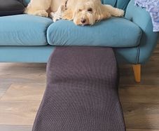 Dog steps
