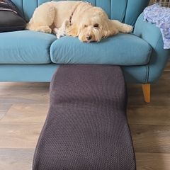 Dog steps