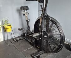 assault bike air bike