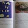 In the shadow of the Galtees Archaeology excavation N8 Cashel Mitchelstown road Tipperary Image 10