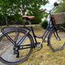 Raleigh Willow Women's Dutch Bike Image 3