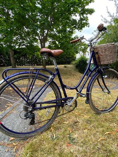 Raleigh Willow Women's Dutch Bike